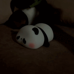 <strong>SQUEEZE</strong> & Hug All You Want 🤗